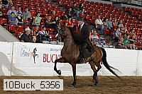 10buck_5356 proof