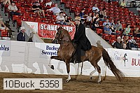 10buck_5358 proof