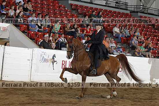 Proof 10buck_5359