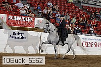 10buck_5362 proof
