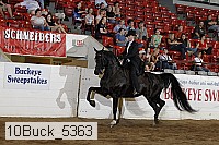 10buck_5363 proof