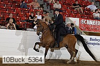 10buck_5364 proof
