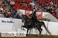 10buck_5365 proof