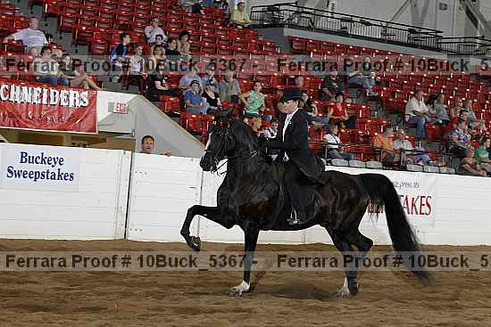 Proof 10buck_5367