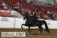 10buck_5367 proof