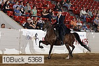 10buck_5368 proof