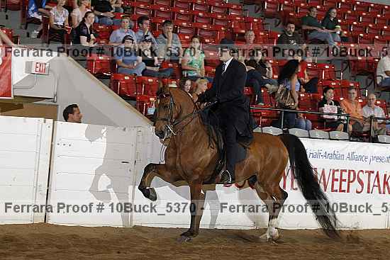 Proof 10buck_5370