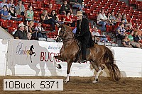 10buck_5371 proof