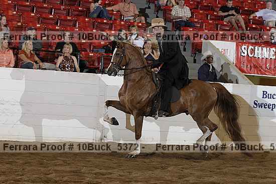 Proof 10buck_5372