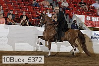 10buck_5372 proof