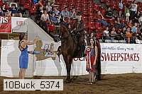 10buck_5374 proof