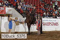 10buck_5375 proof