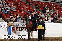 10buck_5377 proof