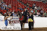 10buck_5378 proof