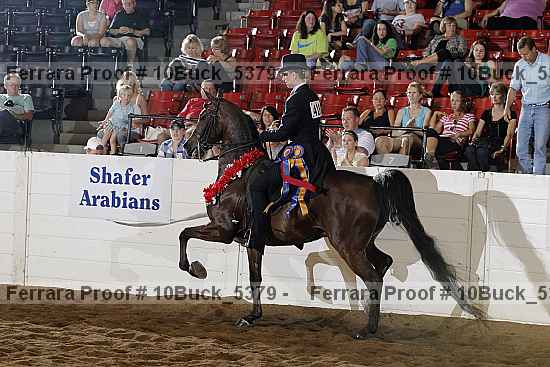 Proof 10buck_5379