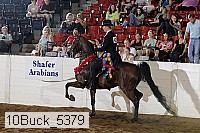 10buck_5379 proof