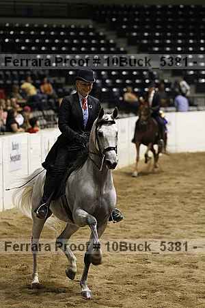 Proof 10buck_5381