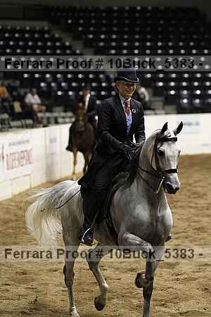 Proof 10buck_5383