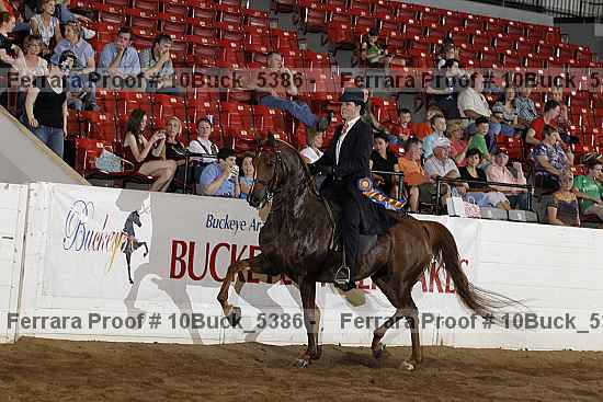 Proof 10buck_5386