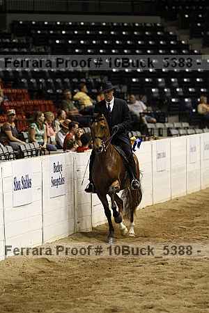 Proof 10buck_5388