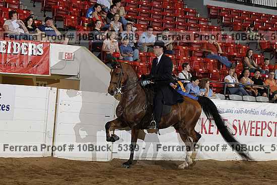 Proof 10buck_5389