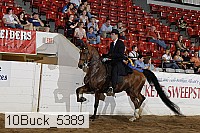 10buck_5389 proof