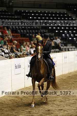 Proof 10buck_5392