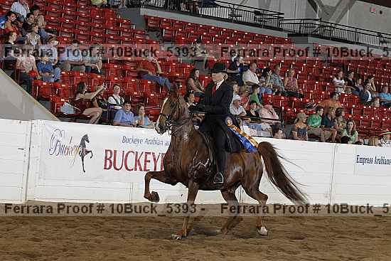 Proof 10buck_5393