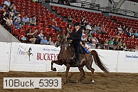 10buck_5393 proof