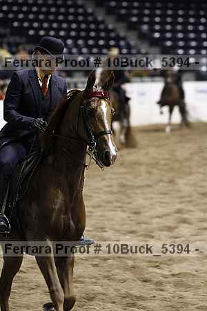 Proof 10buck_5394