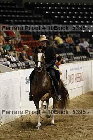 Proof 10buck_5395