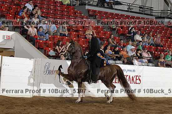 Proof 10buck_5397