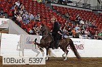 10buck_5397 proof