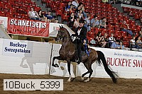 10buck_5399 proof