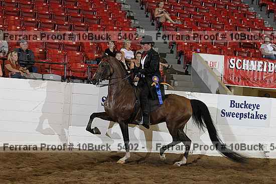 Proof 10buck_5402
