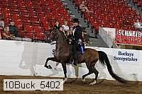 10buck_5402 proof