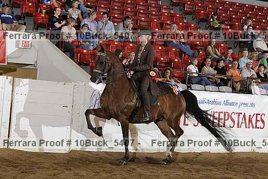 Proof 10buck_5407