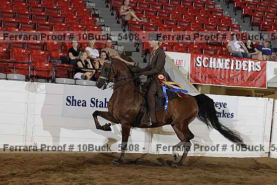 Proof 10buck_5408