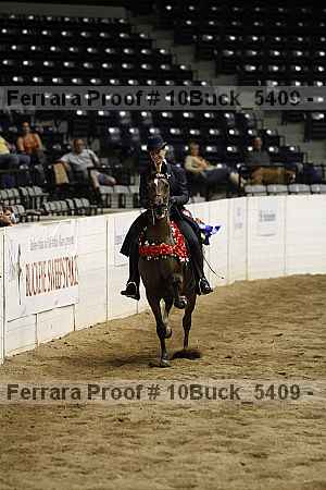 Proof 10buck_5409