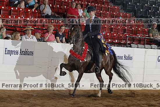 Proof 10buck_5411