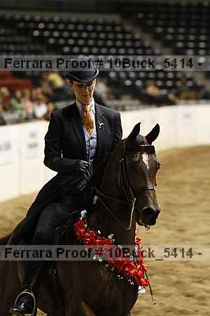 Proof 10buck_5414