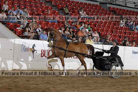 Proof 10buck_5418