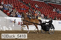 10buck_5418 proof