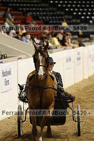 Proof 10buck_5420
