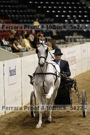 Proof 10buck_5422