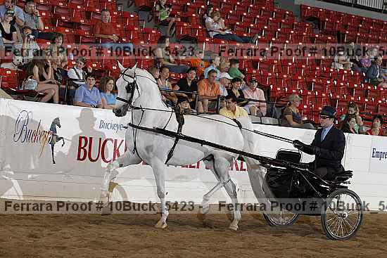 Proof 10buck_5423