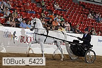 10buck_5423 proof
