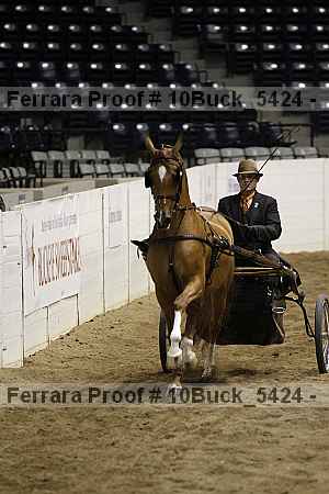 Proof 10buck_5424