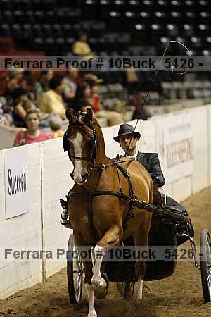 Proof 10buck_5426