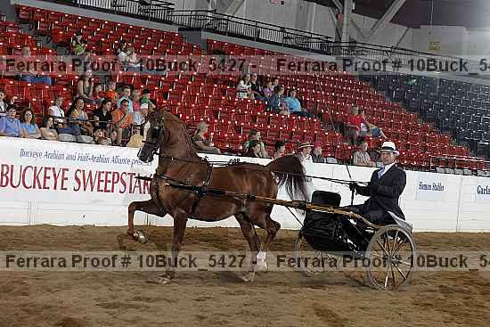 Proof 10buck_5427